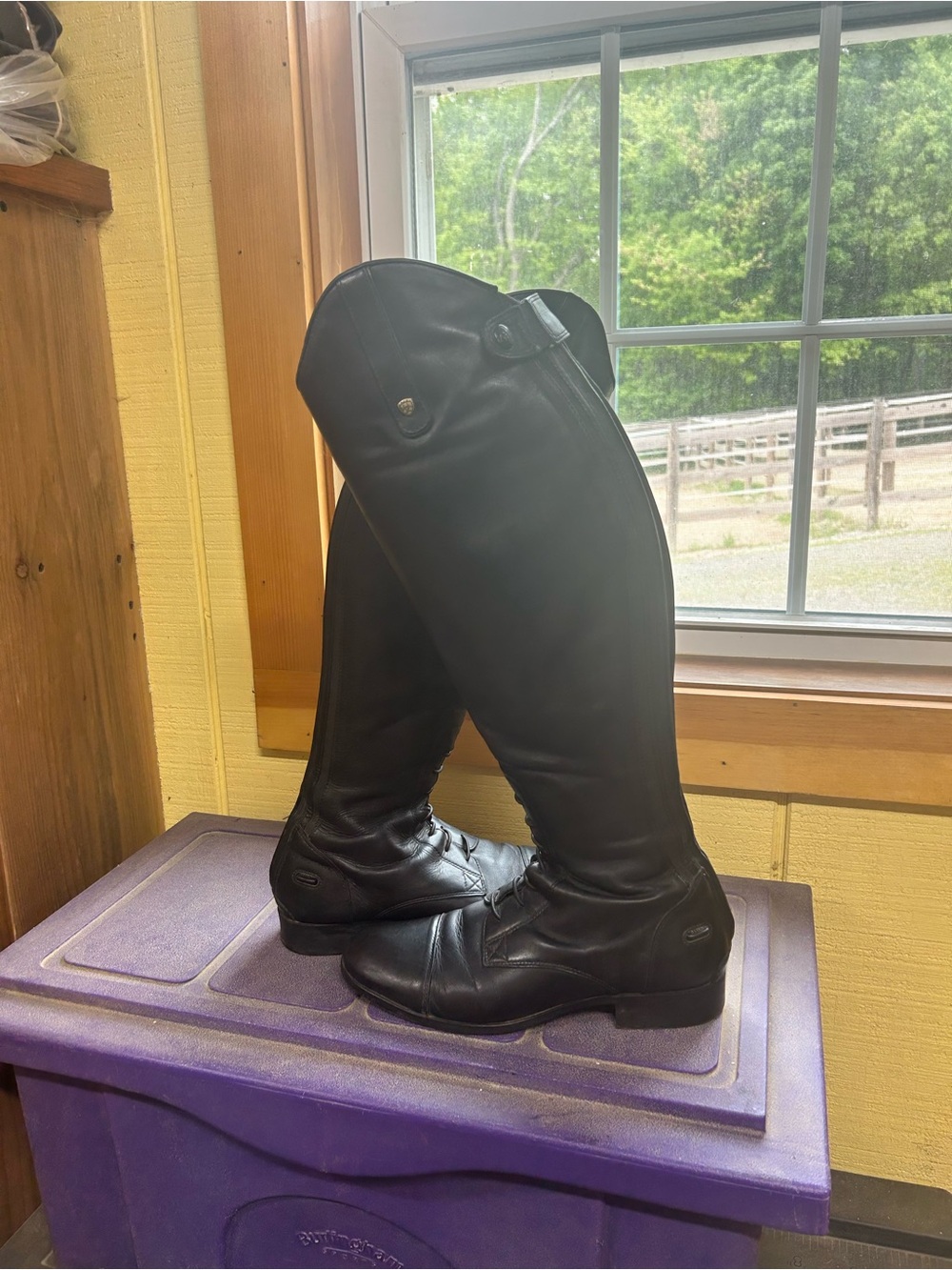 ariat tall field boots